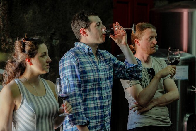 PREMIUM TASTING and TAPAS with GUIDED TOUR - What happens when you arrive at Quinta do Beijo