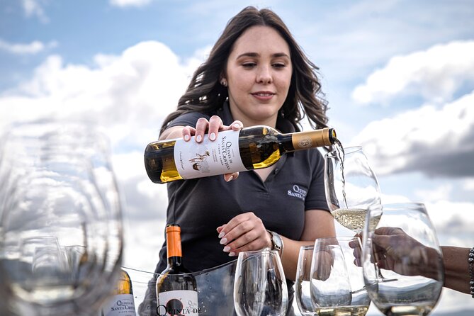 Premium Tasting | Quinta de Santa Cristina Vinho Verde - Five wines and a board of regional foods