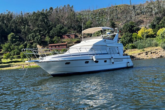 Premium Yacht Tour on the Douro - Porto, Gaia, and the riverfront from the water