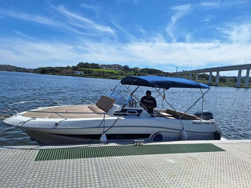 Private 6 Bridges Cruise in Porto with Optional Sunset - Dom Luís Bridge and the Ribeira waterfront