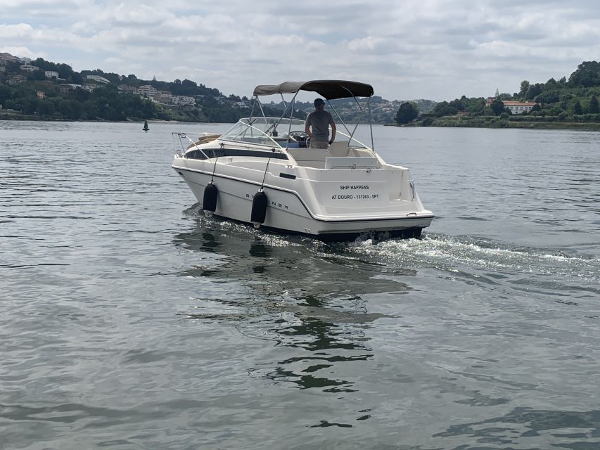 Private Cruise in Rio Douro - 2 hours - Up to 8 Passengers - Should you book the Fun Douro cruise?