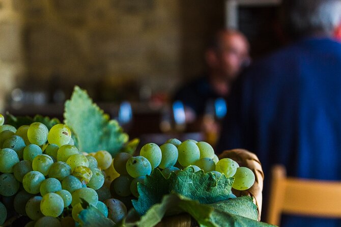 Private Culture and Wine Tourism Tour - Who will get the most from this tour