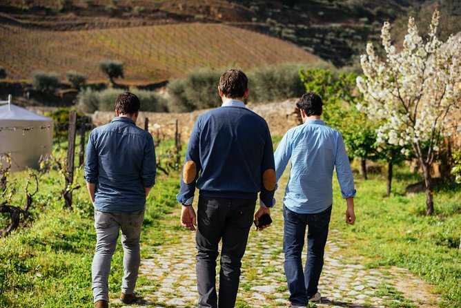 PRIVATE Day Trip Through Enchanting Douro Valley by Car & Boat - Leaving Porto for the Douro Valley