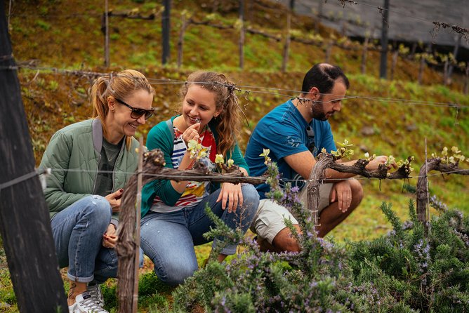 PRIVATE Day Trip Through Enchanting Douro Valley by Car & Boat - Pinhão and the first look at the vineyard hills