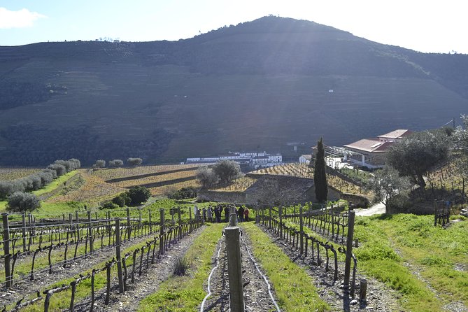 Private Douro 4x4 Adventure from Porto with Deluxe Pic nic - The road is part of the adventure