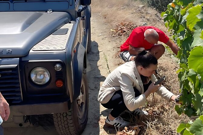 Private Douro 4x4 Adventure from Porto with Deluxe Pic nic - A closer look at the winery visit