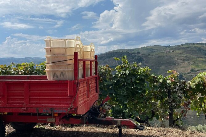 Private Douro 4x4 Adventure from Porto with Deluxe Pic nic - What the $393.20 price means