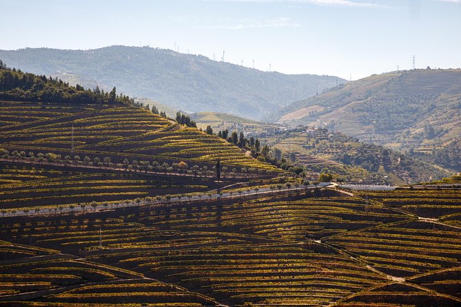 Private Douro 4x4 Adventure from Porto with Deluxe Pic nic - São Leonardo de Galafura and the deluxe picnic