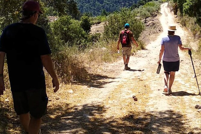 Private Douro and Porto 4x4 Tour with Wine Tasting and Boat Trip - Wine, stories, and the value of a local guide