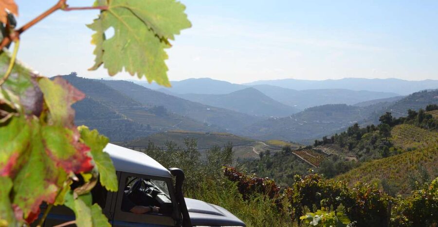 Private Douro Valley 4WD Tour with Wine Tasting and Picnic - Viewpoints, rough tracks, and the São Leonardo stop