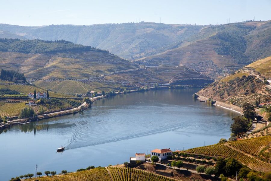 Private Douro Valley 4WD Tour with Wine Tasting and Picnic - What you learn about Douro wine and Port