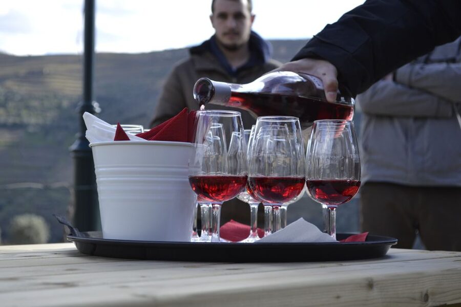 Private Douro Valley 4WD Tour with Wine Tasting and Picnic - Who will enjoy this Douro day most