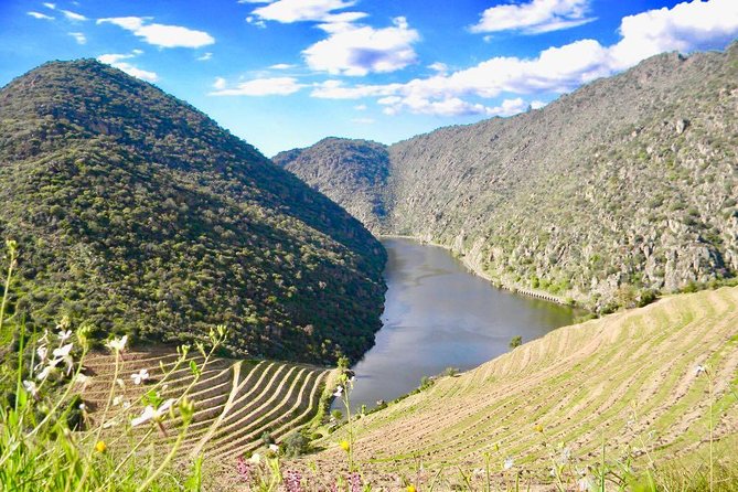 Private Douro Valley - Senses Experiences - Five hours for food, wine, and a local estate