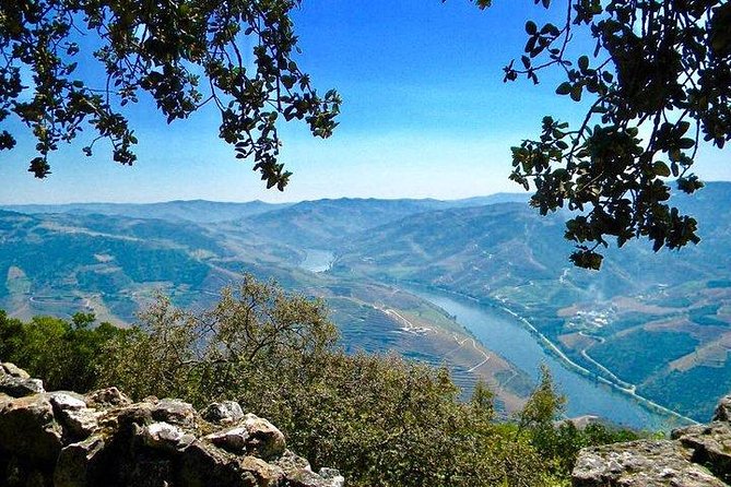 Private Douro Valley - Senses Experiences - What the private format changes