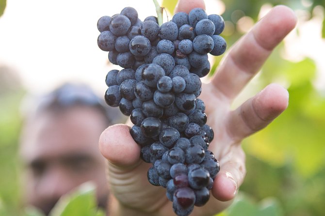 Private Douro Valley - Senses Experiences - Understanding the $380.85 price