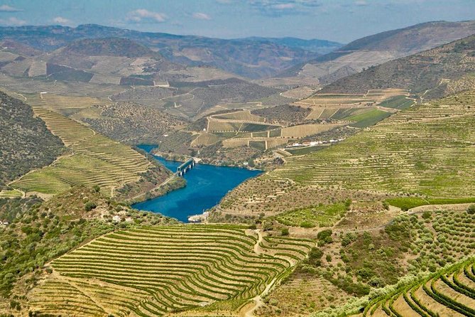Private Douro Valley - Senses Experiences - Costs, weather, and small practical points