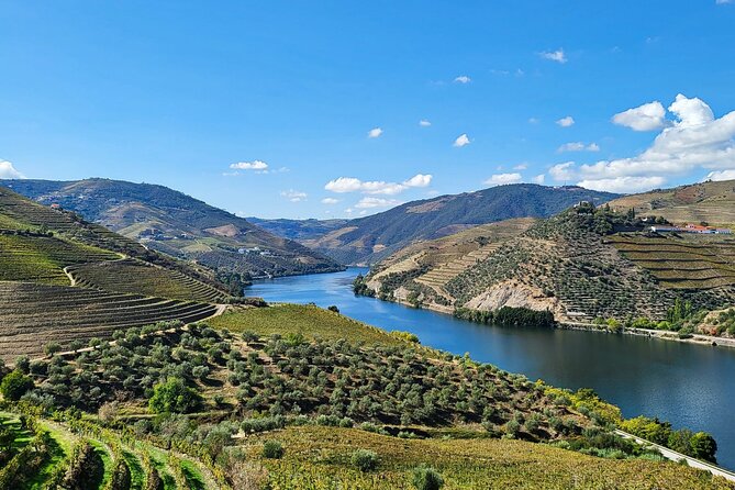 Private Douro Valley Tour (2 wineries + boat) - Why this tour works better than a standard Douro day out