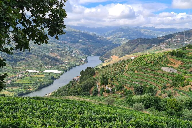 Private Douro Valley Tour (2 wineries + boat) - The first quinta near Peso da Régua