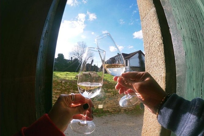 Private Douro Valley Tour from Porto - Lunch with fish, meat, or vegetarian choices