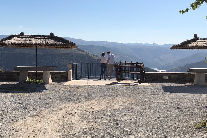 Private Douro Valley Tour from Porto - Port wine, olive oil, and honey in one tasting day