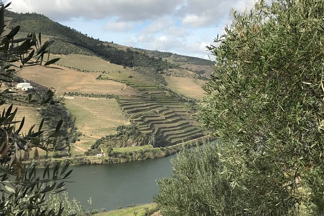 Private Douro Valley Tour Includes Wine Tasting and Boat Tour - One hour on the Douro River