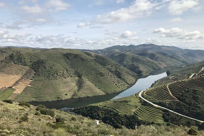 Private Douro Valley Tour Includes Wine Tasting and Boat Tour - A good choice for families and mixed interests