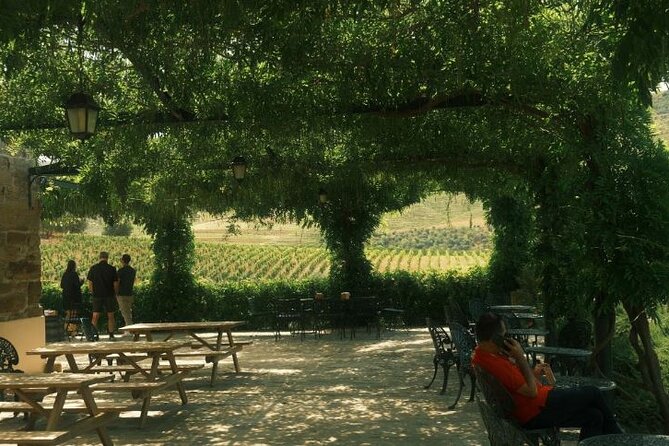 Private Douro Valley Tour with Lunch & Wines - Márcio Araújo as guide and driver