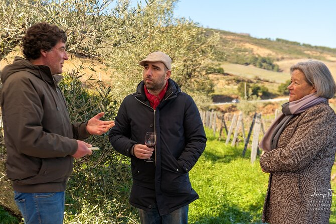 Private Douro Valley UNESCO Wine Tour from Porto with Lunch - Into the Douro Valley for wine and views