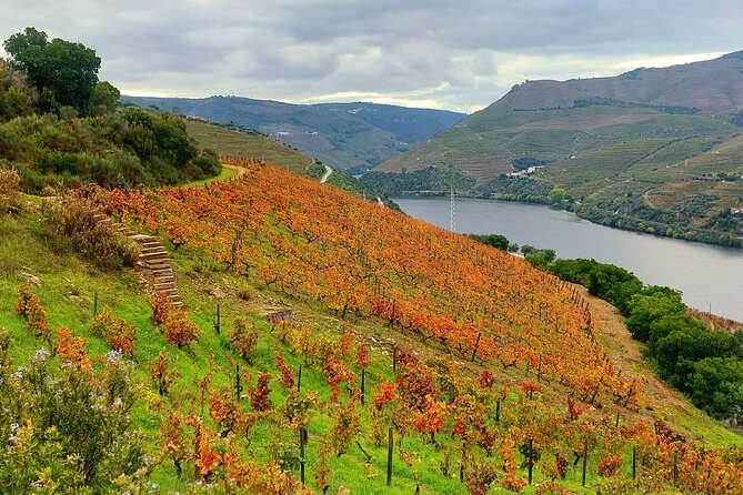 Private Douro Valley UNESCO Wine Tour from Porto with Lunch - Two winery visits without rushing the whole day