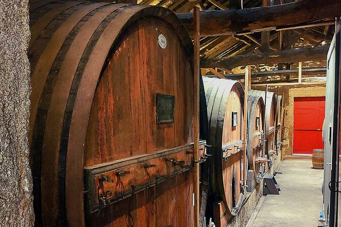 Private Douro Valley UNESCO Wine Tour from Porto with Lunch - One hour on the Douro River