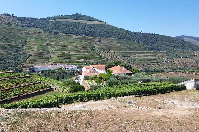 Private Douro Valley visit to three vineyards with Lunch from Porto - From Porto to Lamego, the day starts with a long view