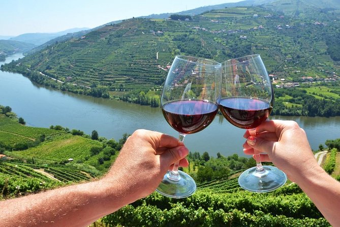 Private Douro Valley Wine Tour: 2 Wine Estates, Lunch and Cruise - The N222 and the second wine estate