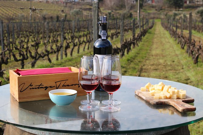 Private Douro Valley Wine Tour: 2 Wine Estates, Lunch and Cruise - What the private format is really worth