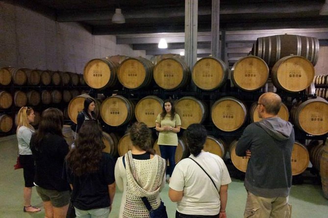 Private Douro Valley Wine Tour: 2 Wine Estates, Lunch and Cruise - First estate visit and a generous Portuguese lunch