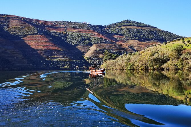 Private Douro Valley Wine Tour + Lunch and Boat Cruise - Why This Douro Day Works So Well