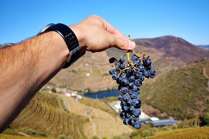Private Douro Valley Wine Tour + Lunch and Boat Cruise - Pinhão’s 1880 Railway Station
