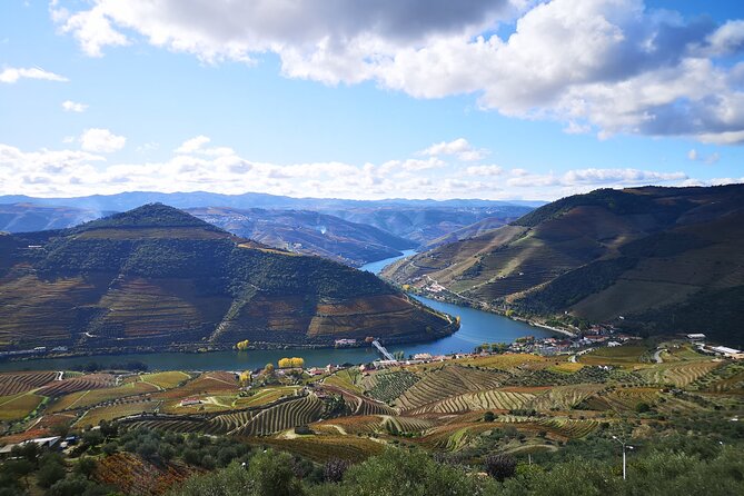 Private Douro Valley Wine Tour + Lunch and Boat Cruise - What Bruno Adds to the Experience