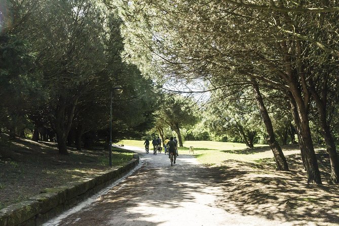 Private e-Bike Tour in Porto – Explore Riverside, Beaches & Parks - Matosinhos Beach and Porto City Park