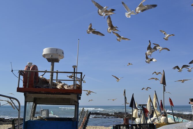 Private Fish Experience with Market-to-table lunch from Porto - Inside Conservas Pinhais for sardines and a tasting