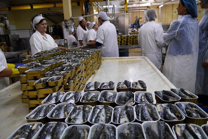 Private Fish Experience with Market-to-table lunch from Porto - Seven hours, pickup, and the early start