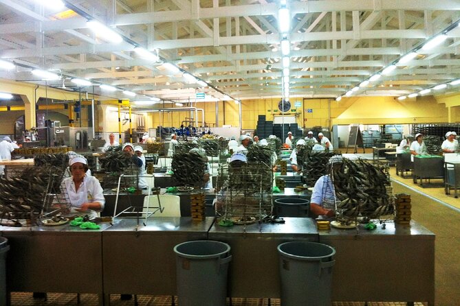 Private Fish Experience with Market-to-table lunch from Porto - Who should book this experience?
