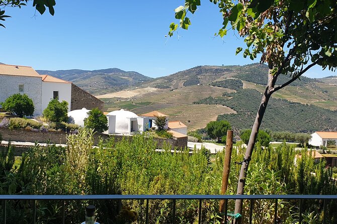 Private full-Day Tour to Douro Valley - Key points to know before booking