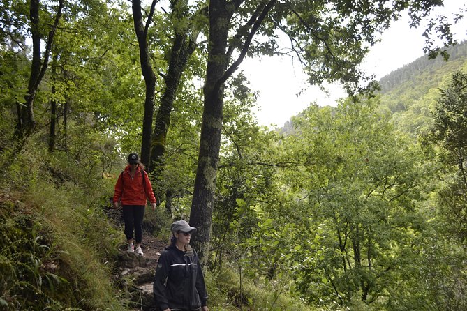 Private Geres National Park Tour with Lunch and Transfers - Who should book this day in Gerês