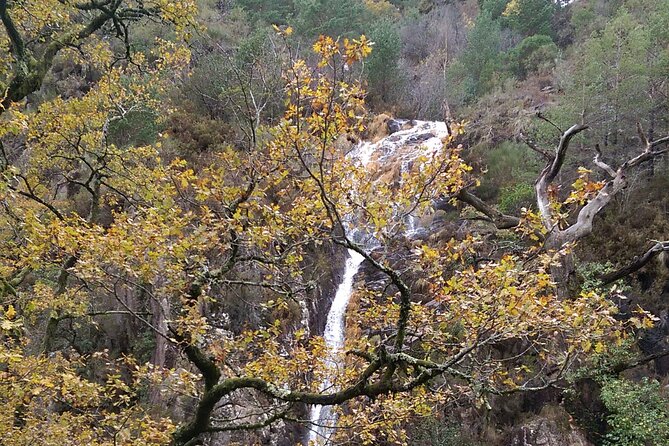 Private Guided Tour - Peneda Gerês National Park - Caniçada Reservoir and a calmer finish