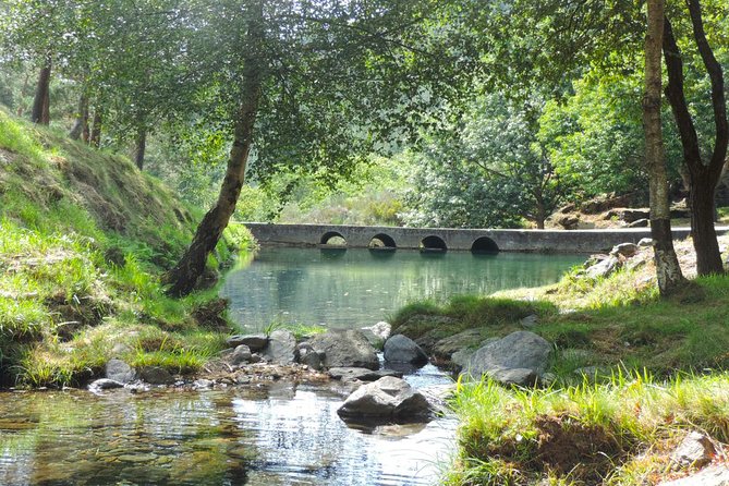 Private Jeep Tour of Marão Nature - Who will enjoy this day most