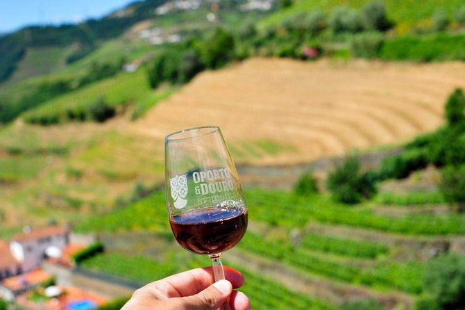 Private off the beaten Douro Valley Wine Tour - Port Tasting at a Family Estate in Lamego