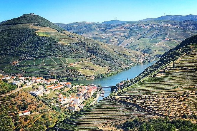 Private off the beaten Douro Valley Wine Tour - A Family Winery and the Taste of Local Produce