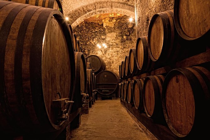 Private Porto Half Day Tour: Port Wine Cellars and Cheese Tasting - Who will get the most from this tour?