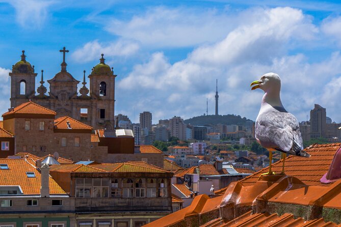 PRIVATE Porto walking tour with historian - Is $102.12 per person a fair price?