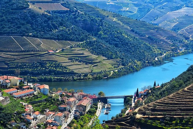 Private Premium Wine Experience through Douro Valley - The Winery Lunch: Three Courses and Quinta Wines
